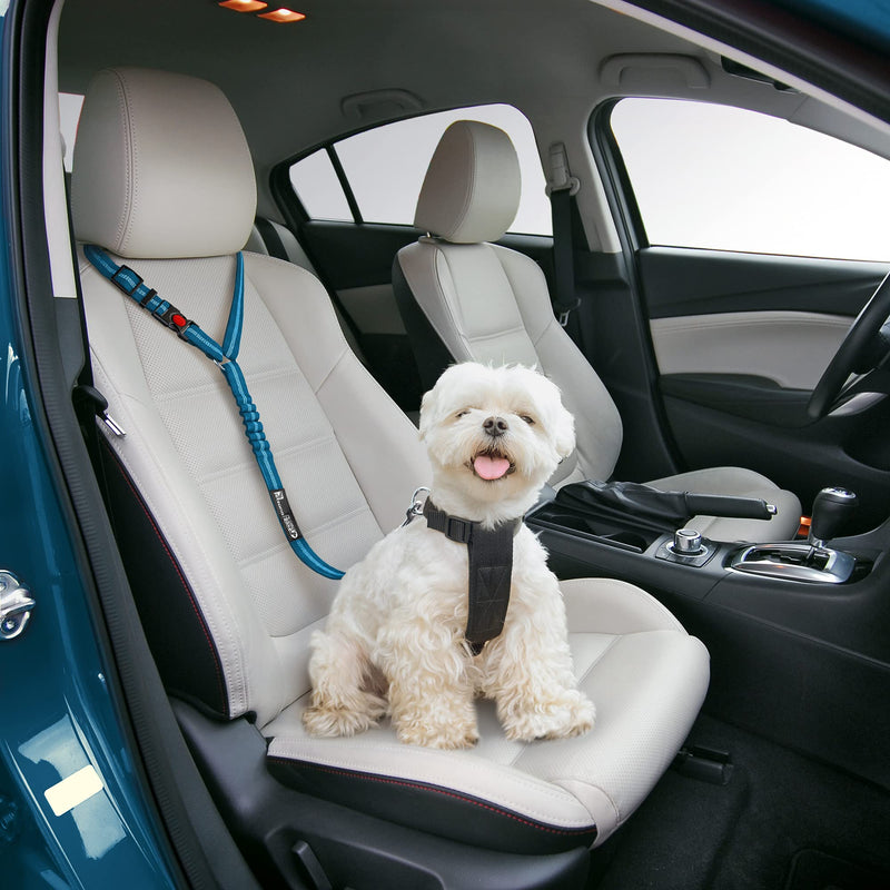 Dog Seat Belt for Car, Headrest Dog Car Harness - Adjustable Reflective, Elastic Durable 2-in-1 Leash and Restraint Secures to Headrest, Easy to Use. Blue - PawsPlanet Australia