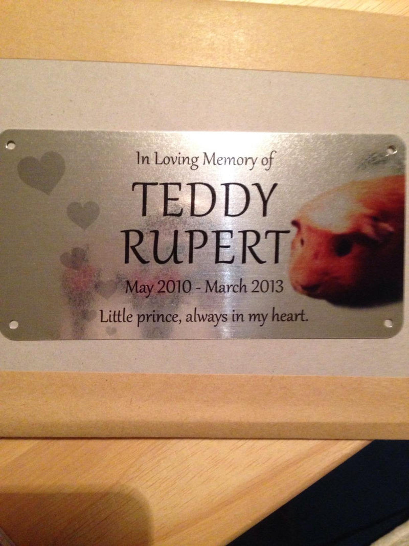 Beenanas Pet Dog Cat Memorial Metal Silver Plaque Rabbit Hamster Custom 3 X 6 Inches & Fridge Magnet Keepsake Set - PawsPlanet Australia