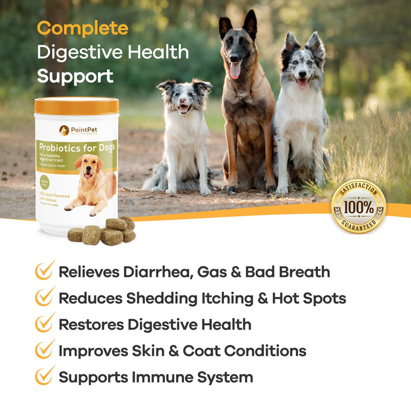 POINTPET Probiotics for Dogs - Natural Probiotic Supplement with Prebiotics, Relief from Diarrhea, Dry and Itchy Skin, Gas, Constipation, Allergies - Digestive and Immune Support, 120 Soft Chews - PawsPlanet Australia