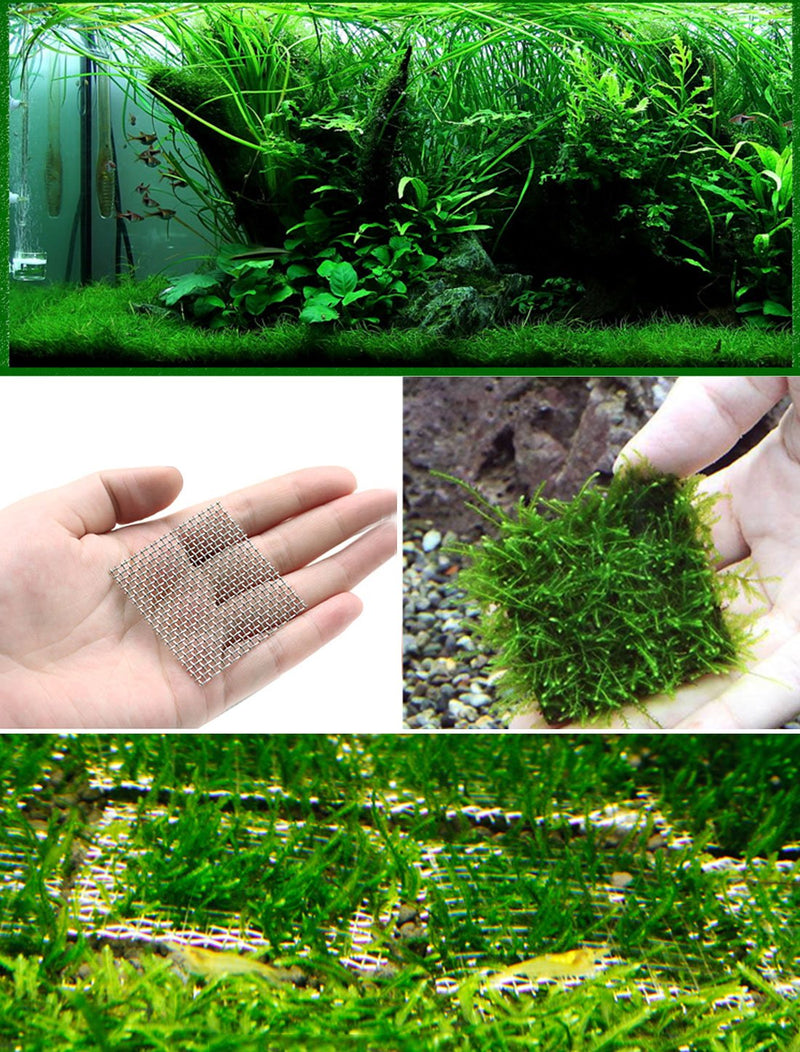[Australia] - uxcell 304 Stainless Steel Universal Mesh Aquarium Moss Plants Net 2x2inch 2pcs 