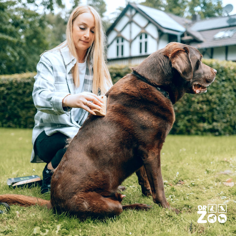 DR Zoo Robbi dog brush - short hair curry comb for removing top hair and undercoat from dogs - for small and large dogs. Wood for dogs - PawsPlanet Australia