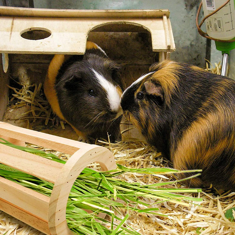 AHANDMAKER Rabbit Hay Feeder Rack, Natural Wooden Cylindrical Wall-Mountable Hay Manger for Small Animals, Bunny Feeder, Guinea Pig Food Bowl, Chinchilla Hay Bin - PawsPlanet Australia