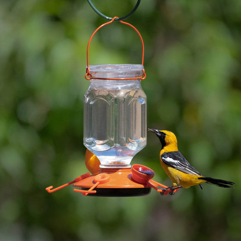 Perky-Pet 9113-2 Top-Fill Glass Oriole Feeder – 22 Oz - PawsPlanet Australia