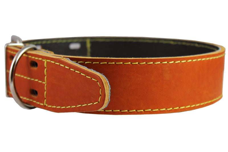 [Australia] - Genuine Thick Leather Dog Collar 20"-27" Neck Size, 1.75" Wide, Mastiff, Great Dane 
