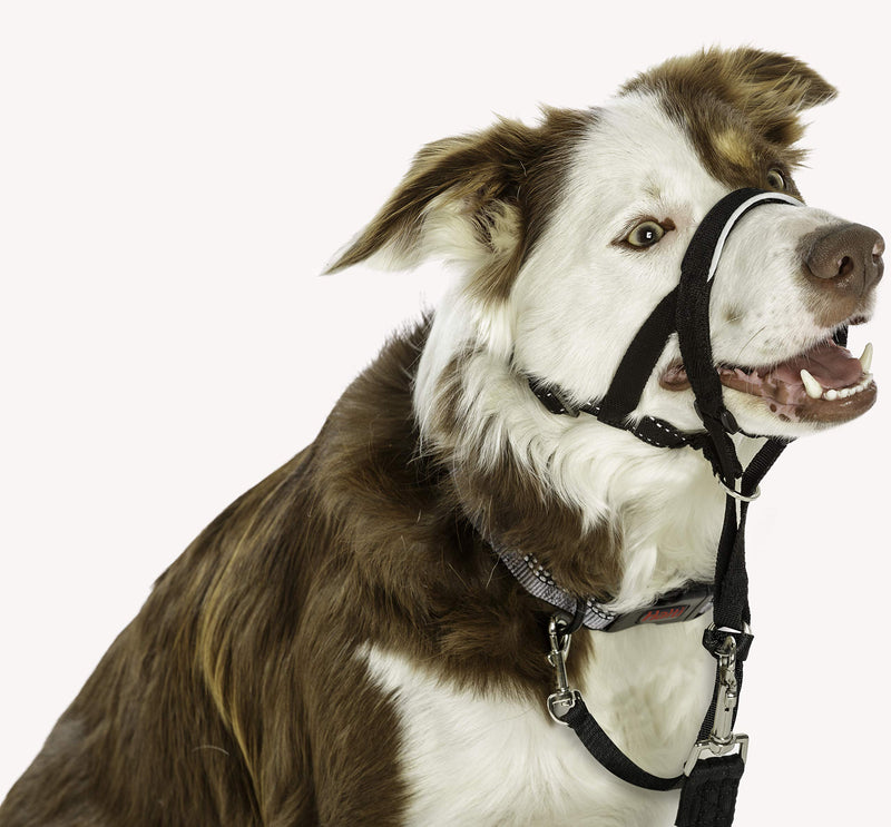 HALTI Headcollar Size 2 Black, UK Bestselling Dog Head Harness to Stop Pulling on the Lead, Easy to Use, Padded Nose Band, Adjustable & Reflective, Professional Anti-Pull Training Aid for Medium Dogs - PawsPlanet Australia
