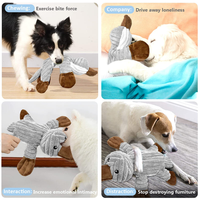Dog toy dog toy, tug of war plush squeaky with crinkle paper and dog rope, robust dog chew toy for puppies, small, medium, large dogs platypus - PawsPlanet Australia