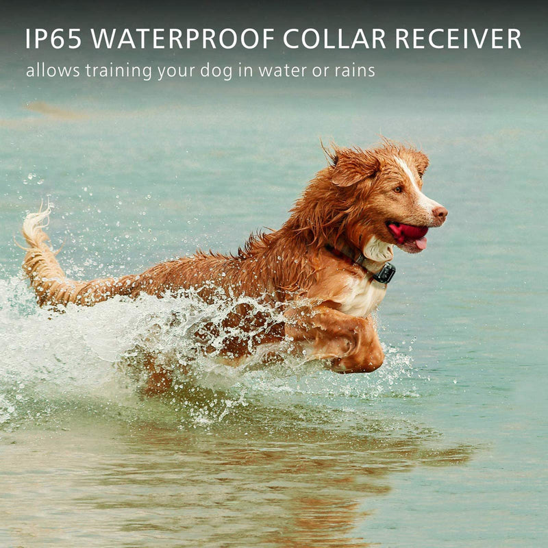 F-color Dog Training Collar, Rechargeable Waterproof Dog Shock Collar for Dogs with Remote 2600ft,with Beep Vibrating Shock LED Light 4 Modes for Small Medium Large Dogs, Black - PawsPlanet Australia