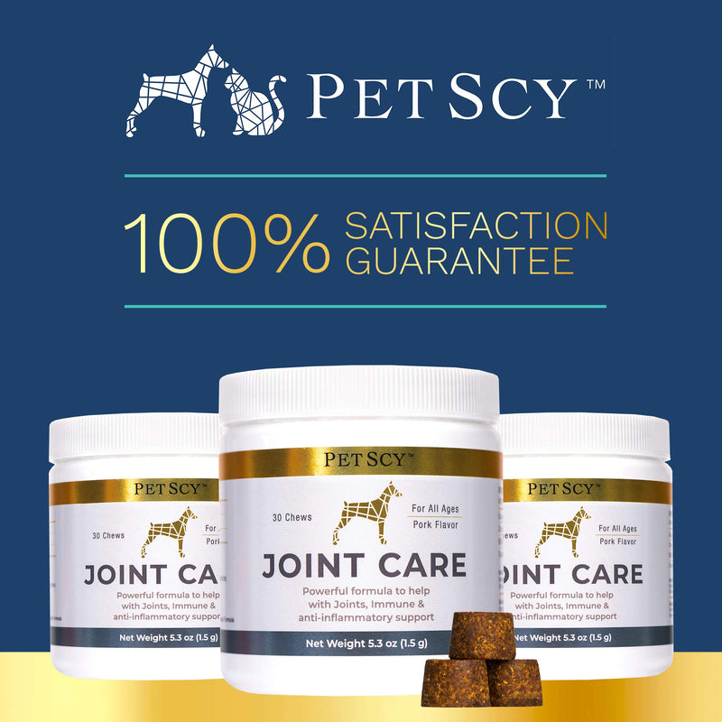 Petscy: Joint Care Chews - Glucosamine, Chondroitin, MSM, and Creatine Nutritional Supplement for Dogs - 30 Chews - Pork Flavor - Joint Pain Relief Support for All Ages and Breeds - Made in The USA - PawsPlanet Australia