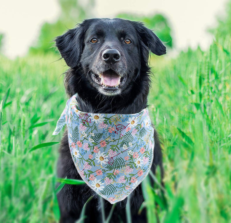 DOGWONG Cotton Dog Bandana Comfortable Dogs Bibs Scarf Reversible Adjustable Dog Bandana Square Dog Kerchief for Small Medium Large Dogs and Cats blue daisy - PawsPlanet Australia