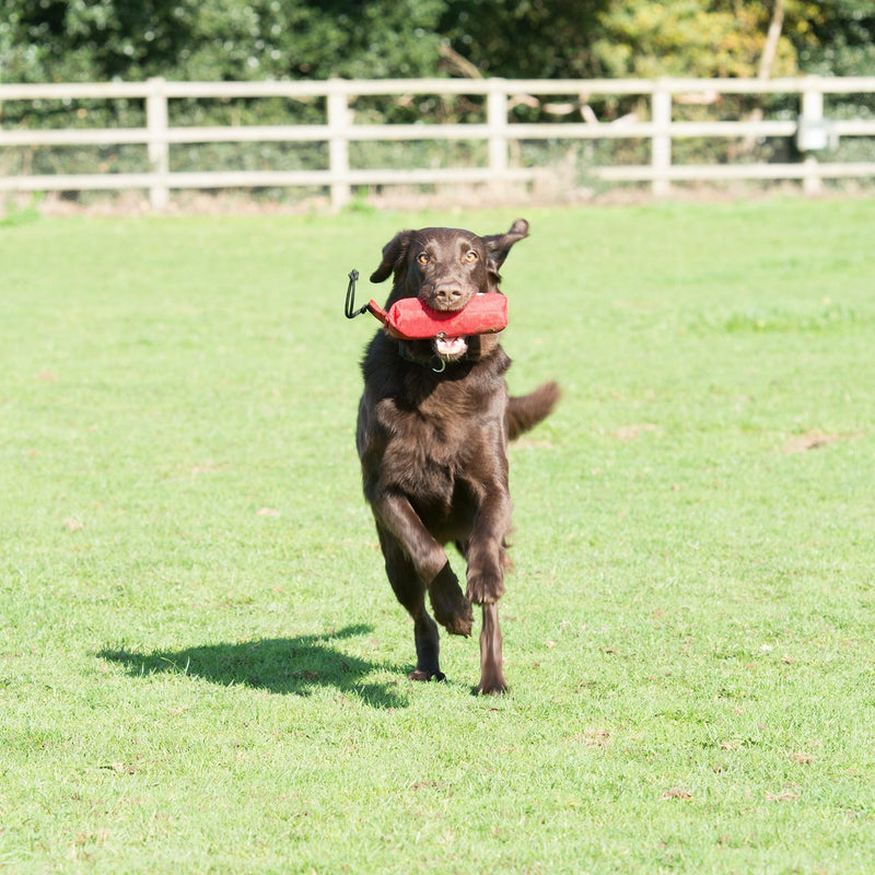 The Company of Animals Canvas Training Dummy, Floats, Highly Visible, Long Distance Throwing, GunDog and Puppy Training Available in Small, Medium and Large - PawsPlanet Australia