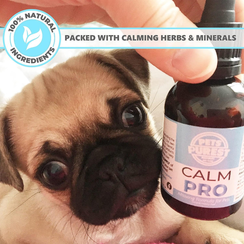 Pets Purest Calm Pro 50ml - calming agent for anxiety, aggression, loud noises, fireworks & in the kennel I nutritional supplement for dogs, cats, horses and other pets against stress - PawsPlanet Australia