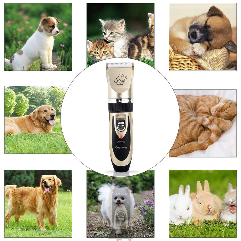 Ceenwes dog clipper quiet rechargeable pet hair clipper - PawsPlanet Australia