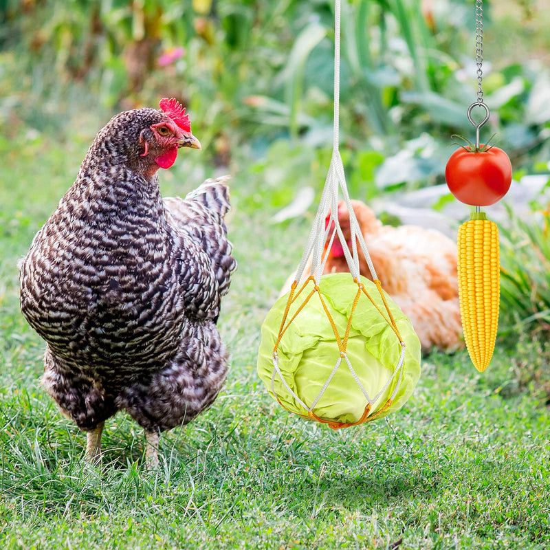 Woanger 4 Pieces Chicken Toys Xylophone Toy and Chicken Veggies Skewer Fruit Holder, Wood Xylophone Toys for Hens, Vegetable Hanging Feeder for Chicken - PawsPlanet Australia