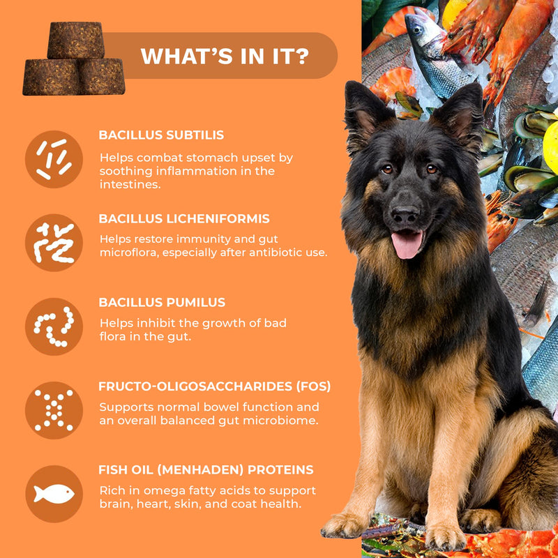 PetScy Probiotic Chews with Prebiotic Fiber and Omega 3 Fish Oil for Canine Enteric Support - Gut Health and Skin and Coat Supplement for Dogs - 30 Chews for All Ages and Breeds - Made in The USA - PawsPlanet Australia