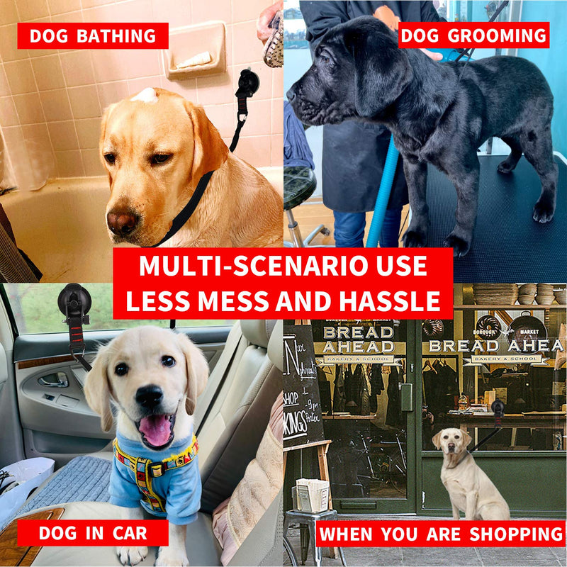 Dog Bathing Tether with Heavy Suction Cup, Dog Grooming Tub Restraint Soft Nylon Leash with Adjustable Collar for Pet Dog Cat Shower and Grooming - PawsPlanet Australia