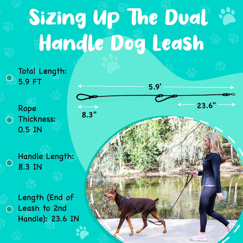 Roam Gear Extra Padded Double Handles, 6ft Long Heavy Duty Reflective Dog Leash with 360 Degree Spring-Loaded Carabiner Hook, Secure Silicone Clamps & O-Ring - Premium Dog Leash for Medium, Large Dogs Black - PawsPlanet Australia