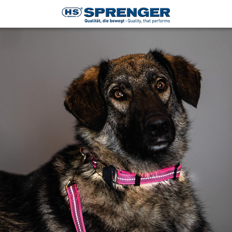 Herm Sprenger – Adjustable Rubberized Reflective Dog Collar for Small Medium Dogs with ClickLock Buckle – Overall Length 12-18 inches Pink - PawsPlanet Australia