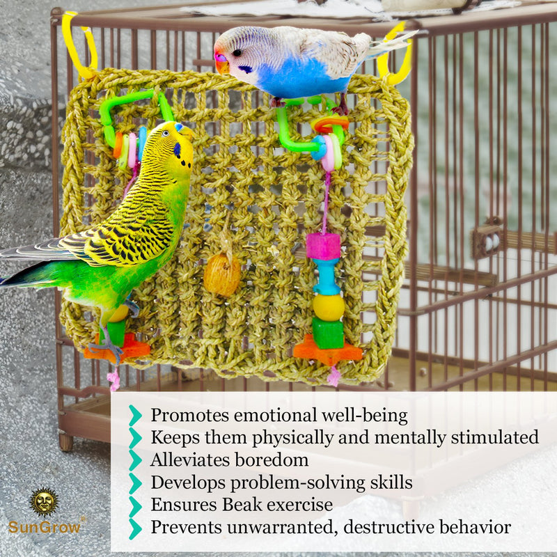 [Australia] - SunGrow Bird Foraging Wall Toy with Hanging Hook, 12.6x13.75 Inches, Edible Seagrass Woven Mat, Beak Exercise and IQ Simulation of Small and Medium Bird, Suitable for Wide Variety of Birds, 1 Piece 