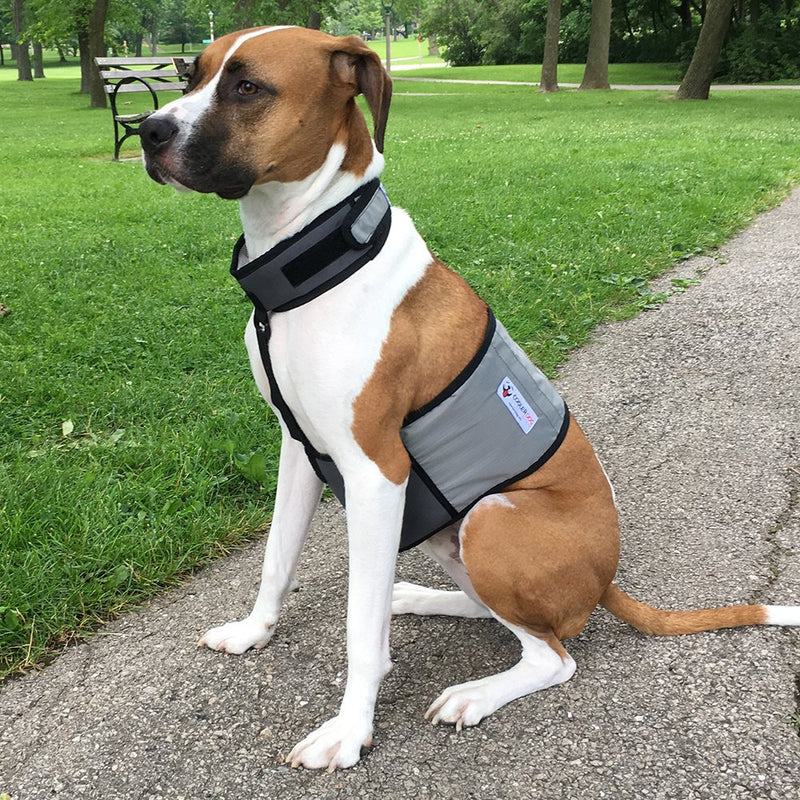 [Australia] - CoolerDog Dog Cooling Vest and Cooling Collar - Ice Vest for Dogs M 