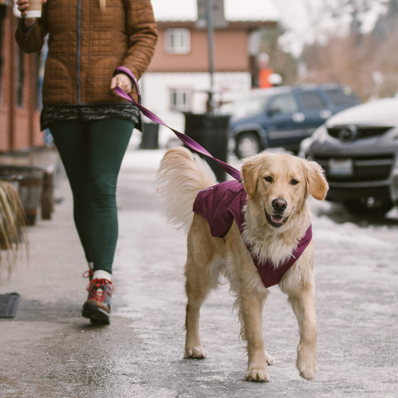 RUFFWEAR Overcoat for Dogs, Abrasion-resistant, Very Small Breeds, Size: X-Small, Larkspur Purple, Stumptown Jacket, 0595-580S1 XS - PawsPlanet Australia