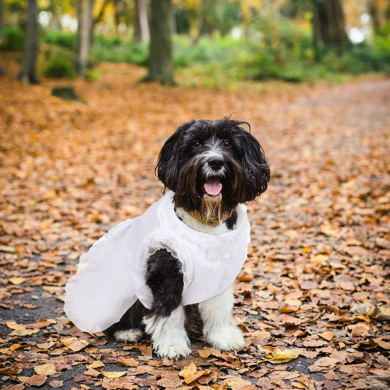 LETSQK Dog Wedding Dress, Elegant Princess Lace Hollow Dress, Adorable Silky Tutu Dog Dresses with Bowtie, Cute Doggy Pet Skirt for Small Medium Dogs Cats - PawsPlanet Australia