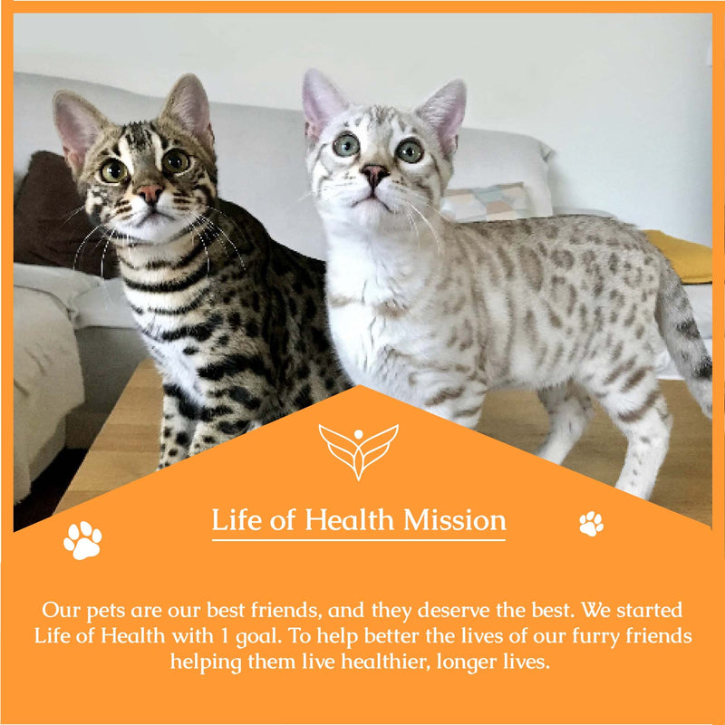 Natural Antibiotics for Cats - Cat Antibiotics - Cat Antibiotic - Pet Antibiotics - Cat Immune Support - Antibiotic for Cats - Cat Multivitamin - Cat UTI Antibiotics - 1 fl oz: Roast Chicken Flavor - PawsPlanet Australia