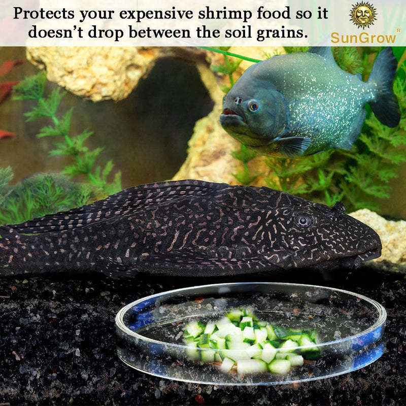 Tough Borosilicate Glass Shrimp Feed Dish, Never Run out Of Food for Shrimps, Prevent Food Spilling, Heavy-Duty, Transparent Basin, for Shrimp Food or Fishs Tubifex Worms - PawsPlanet Australia