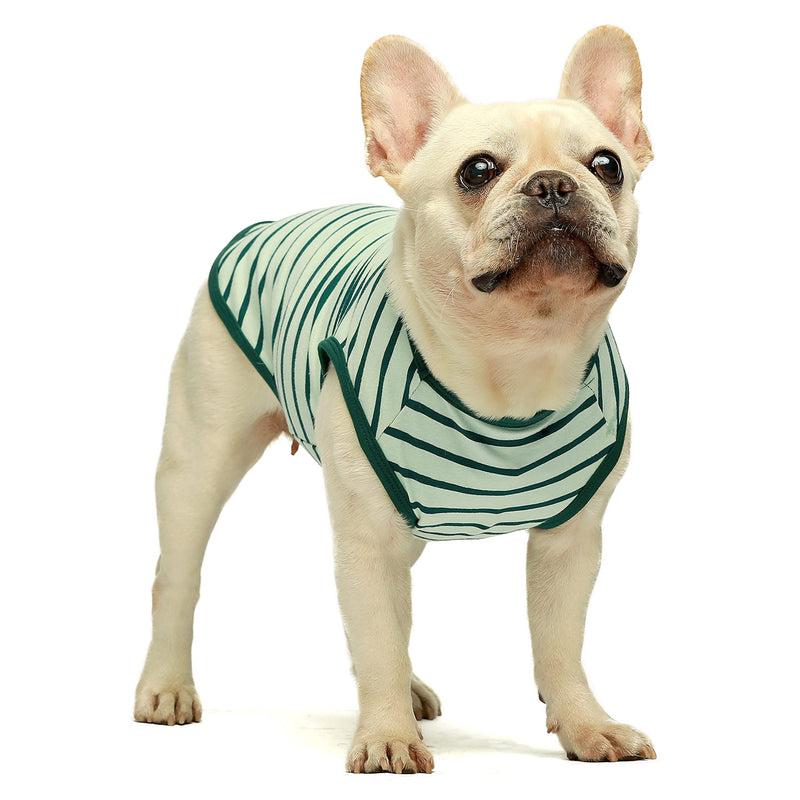 Fitwarm 2-Pack 100% Cotton Striped Dog Shirt for Pet Clothes Puppy T-Shirts Cat Tee Breathable Strechy X-Small Dark Green - PawsPlanet Australia