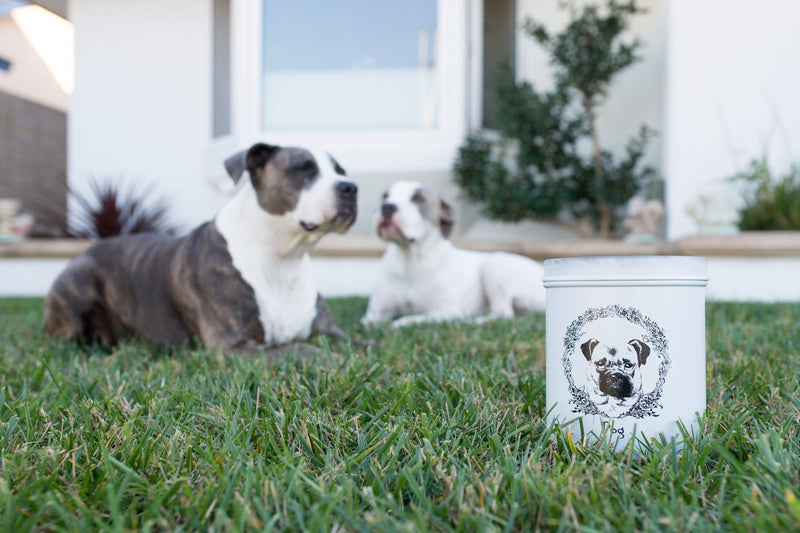 [Australia] - The PetSteel | Antique White Treat Jar | Dog Treat Jar | Tight Fitting Lids | Pet Food Container | Fit's Up to 2lbs of Treats 