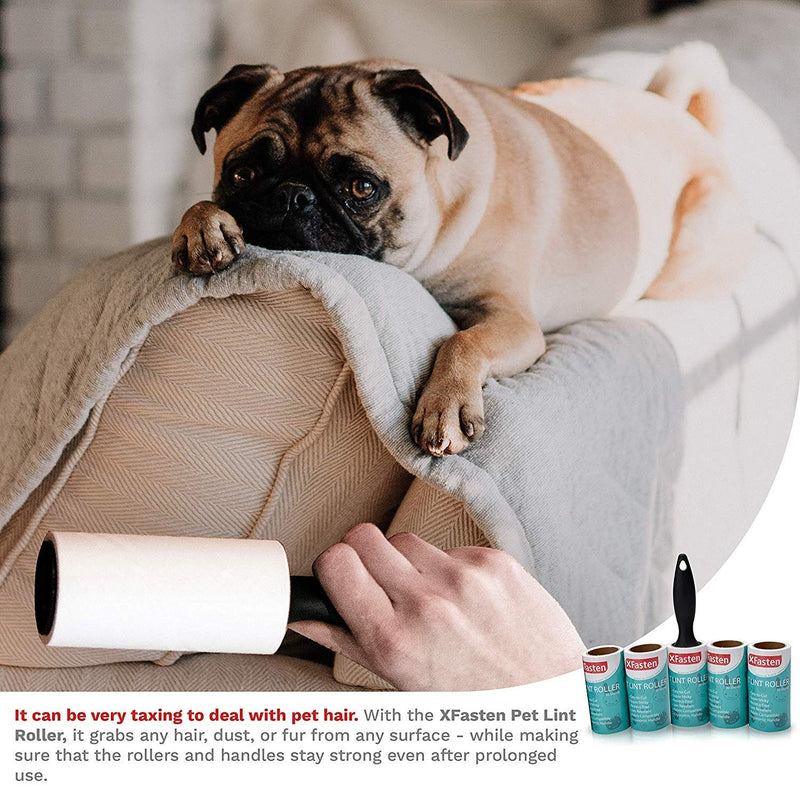 [Australia] - XFasten Pet Lint Roller; 1 Roller + 5 Refill Rolls (90 Sheets Each); Cat, Dog and Pet Hair, Fur and Lint Remover Roller Extra Sticky for Furniture, Car, Carpet and Clothes w/Roller Refill 