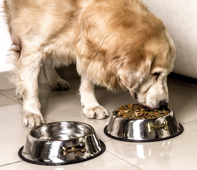 [Australia] - GPET Dog Bowl 32 Oz Stainless Steel Bowls with Anti-Skid Rubber Base for Food or Water Perfect Dish for Dog Puppy Cat and Kitten 2 Pack 