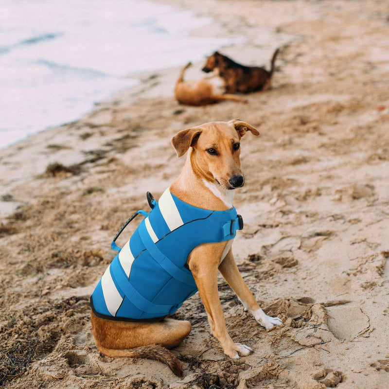 Phyxin Dog Life Jacket, Adjustable Dog Life Vest for Swimming, Striped Puppy Life Jacket, Pet Life Preserver with Leash Hole, for Small Medium Large Dogs X-Small Blue - PawsPlanet Australia