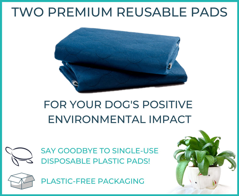 PET IMPACT Reusable Dog Pee Mats, XL Premium Washable Puppy Training Pads, Dog Incontinence Pads, 2-Pad Box EXTRA LARGE (Midnight Blue, 35"x32") Midnight Blue - PawsPlanet Australia