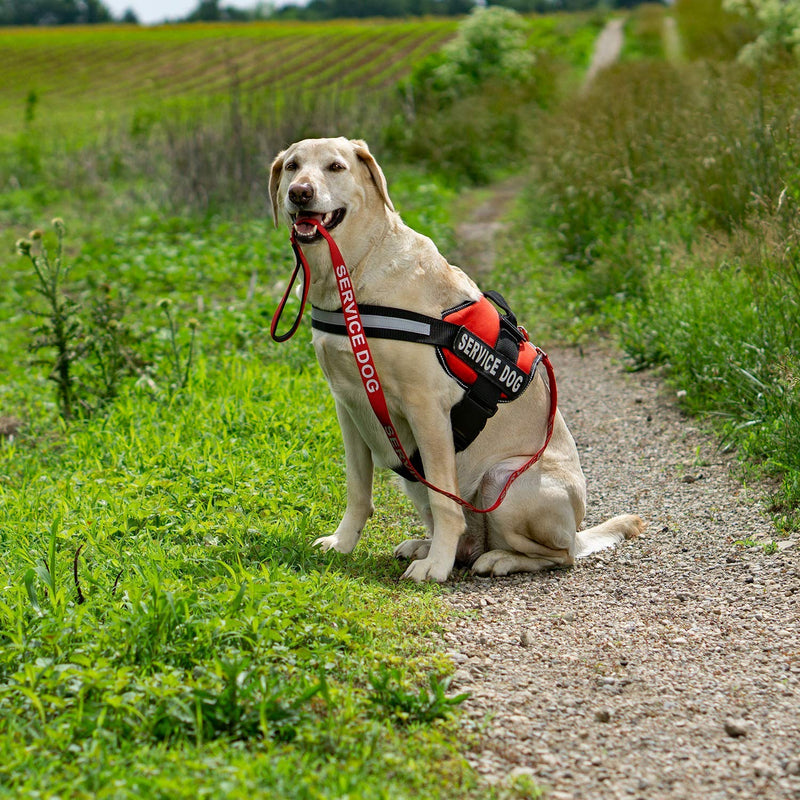 [Australia] - Service Dog Leash Wrap, Emotional Support Dog Leash with Neoprene Handle and Reflective Lettering - Supplies or Accessories for Service Dog Vest, Emotional Support Vest, or ESA Harness Red 