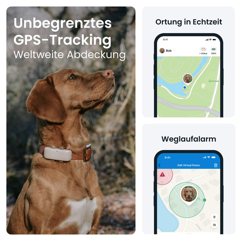 Tractive GPS Tracker for Dogs | Recommended by Martin Rütter | Worldwide live tracking | Runaway alarm | Health Alerts & Activity Tracking | Multiple test winner single - PawsPlanet Australia