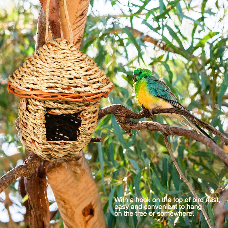 Hummingbird Bird Nest, Handwoven Straw Grass Hanging Bird Hut Grass Woven Parakeet Breeding Cave Cozy Resting Place Sparrow House for Cockatiel Parrots Parakeet Conures Finch (H01) H01 - PawsPlanet Australia