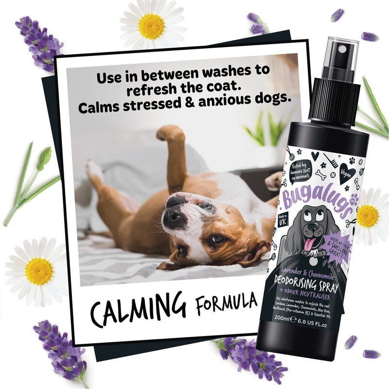 BUGALUGS Lavender & Chamomile Dog perfume dog spray with spray pump, Vegan dog cologne is a dog deodoriser spray. dog perfume spray dog deodorant use with our Dog Shampoo groom (3x 200ml) 3x 200ml - PawsPlanet Australia