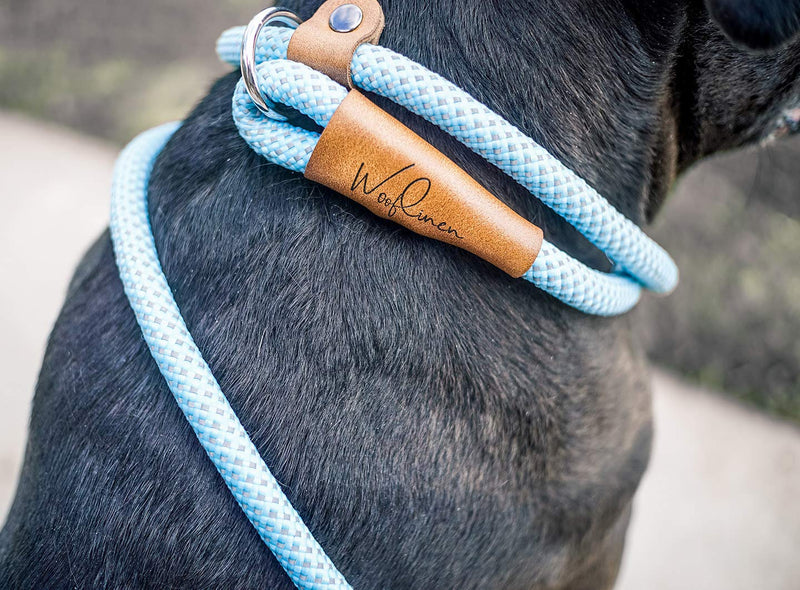 [Australia] - Wooflinen Ultra Reflective Premium Dog Slip Leash Made from Mountain Climbing Rope - Great for Training and The Strongest Pullers 6 Foot Woof Blue 