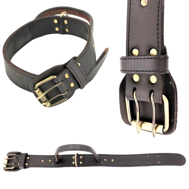[Australia] - FDC Genuine Real Leather Dog Collar Handle 1.7" Width Heavy Duty Medium Large Pet M: Neck 12" - 14" 