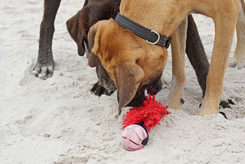 Dingo Agility Mop Bite Tug Floatable Ball Bungee Chaser Red 15588 - PawsPlanet Australia