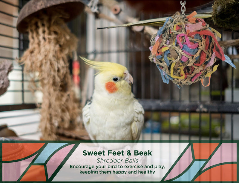 Sweet Feet and Beak Super Shredder Ball - Bird Cage Accessories to Keep Your Bird Busy Foraging for Hidden Treasures - Non-Toxic, Easy to Install Bird Foraging Toys, Bird Treats, Parrot Toys 3 inch - PawsPlanet Australia