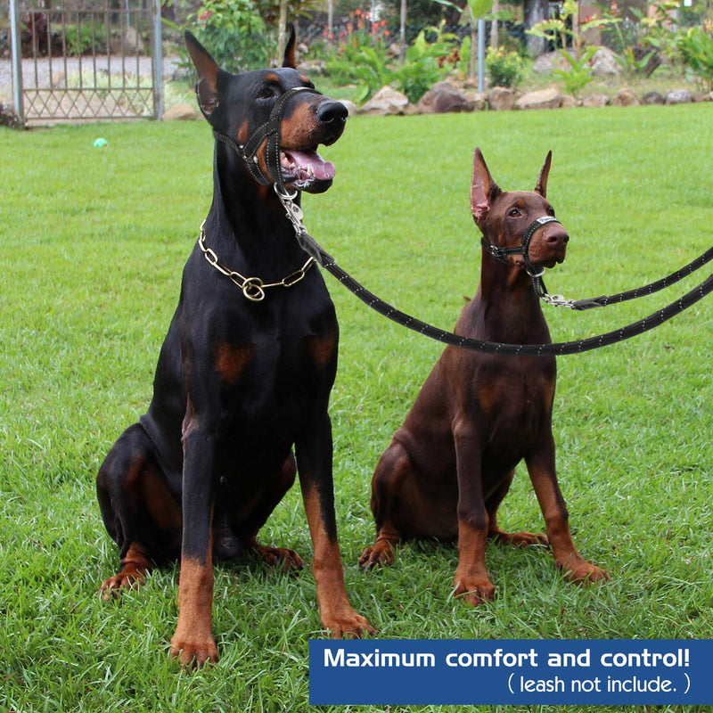 Pawaboo Dog Halter Pet Safe Control - Nylon Reflective Adjustable Dog Holder Dog Band Training Holder for Dogs, Wepels, M Size, Black - PawsPlanet Australia