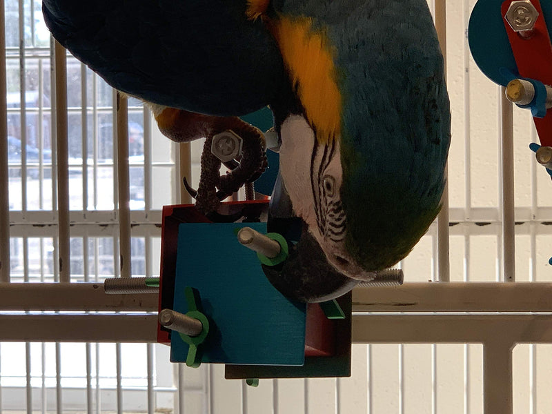 [Australia] - Busy Bird Busy Box Foraging Toy Indestructible Wing Nuts Won't Come Off Their Bolts Super Fun Mechanical Engagement Toy for All Parrots 