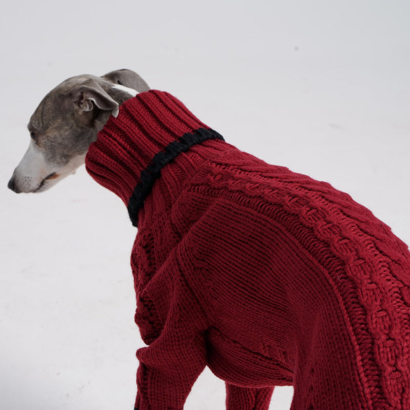 ESCCBOO Italian Greyhound Clothes, Warm Sweater for Whippets, Dog Onesie, Two-Legged Turtleneck Warm Sweater for Small Medium Dogs (Medium, Red) - PawsPlanet Australia