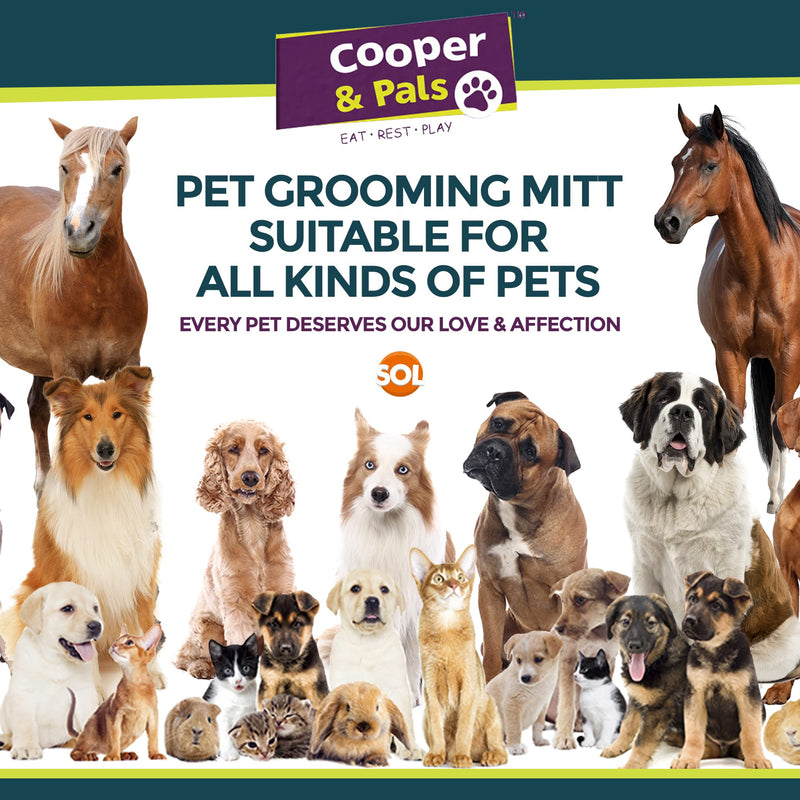 2pk Pet & Dog Brushes for Grooming | Soft Silicone Dog Bath Brush | Dog Grooming Brush | Pet Grooming Brush Bath | Dog Shampoo Brush | Pet Grooming Bath Brush | Pet Brush | Dog Shower Brush, Dog Brush - PawsPlanet Australia
