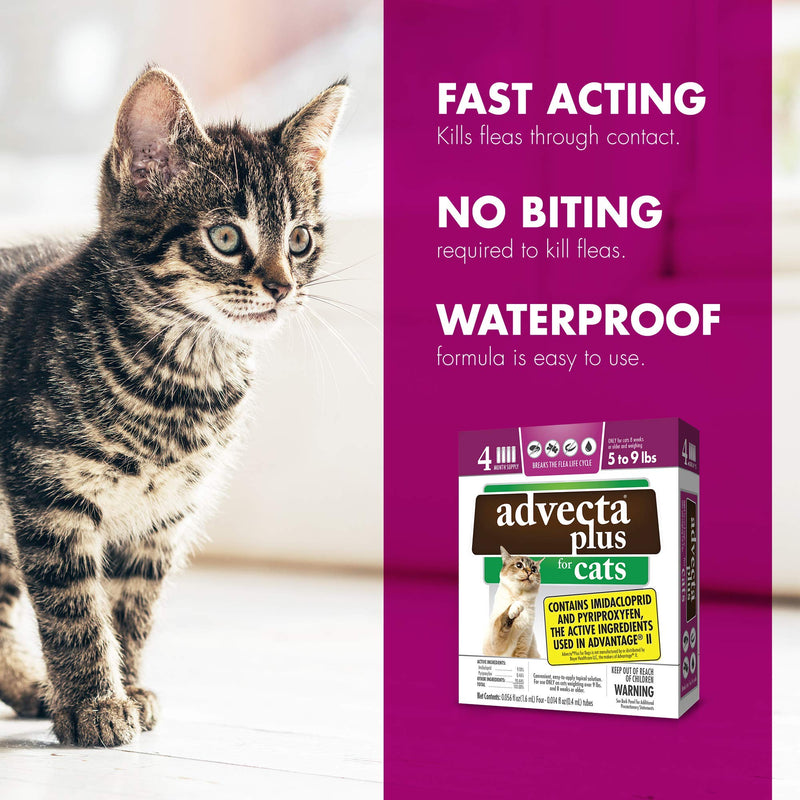 Advecta Plus Flea Squeeze-On, Flea Prevention for Cats, 4 Month Supply Cats 5-9 lbs - PawsPlanet Australia