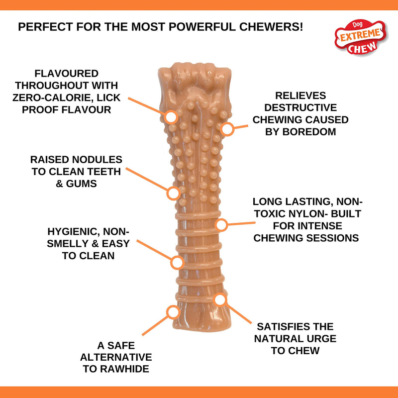 Nylabone Dura Chew Extreme Tough Dog Chew Toy Bone, Bacon Flavour, XL, for Dogs over 23 kg - PawsPlanet Australia