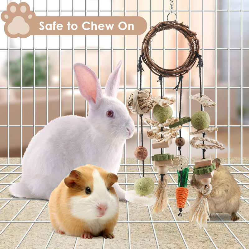 Bissap Bunny Chew Toy, Rabbits Cage Hanging Chew Toys and Treats Rattan Ring with Snacks for Guinea Pigs Chinchillas Hamsters Rats and Other Small Pets Teeth Grinding - PawsPlanet Australia