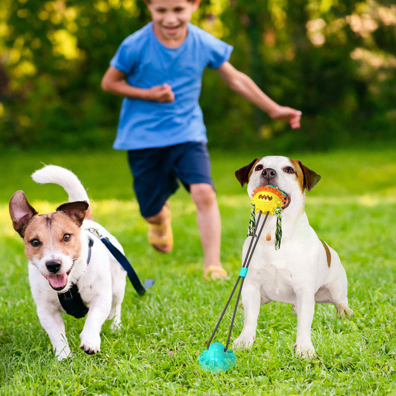 Dog Toys for Aggressive Chewers/Indestructible squeaking Dog Toy/Dog Interactive Educational Toy/Sucker Dog Toy/Tug Toy for tug-of-war Game of aggressiveness of Medium and Large Dogs Lake blue - PawsPlanet Australia