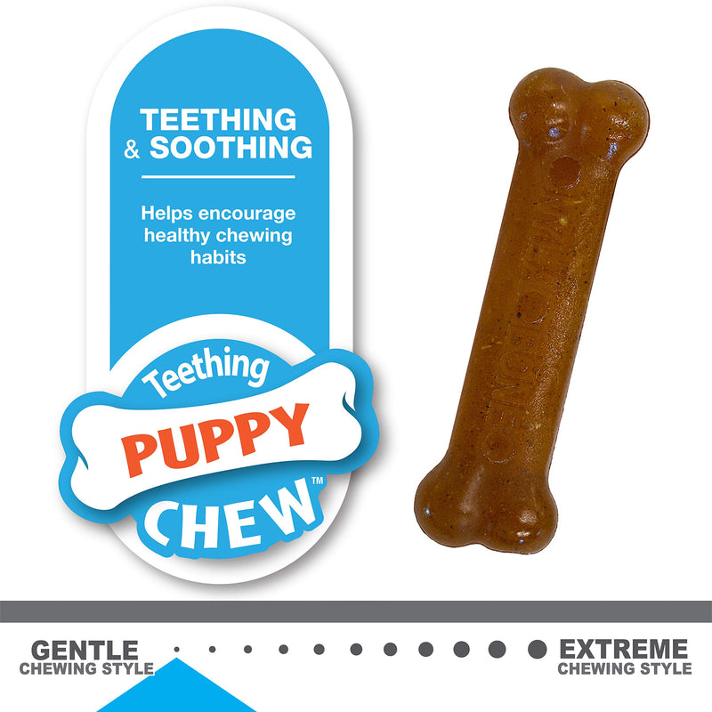 [Australia] - Nylabone Classic Puppy Chew Flavored Durable Dog Chew Toy 2 count X-Small/Petite - Up to 15 lbs X-Small/Petite - Up to 15 lbs. 